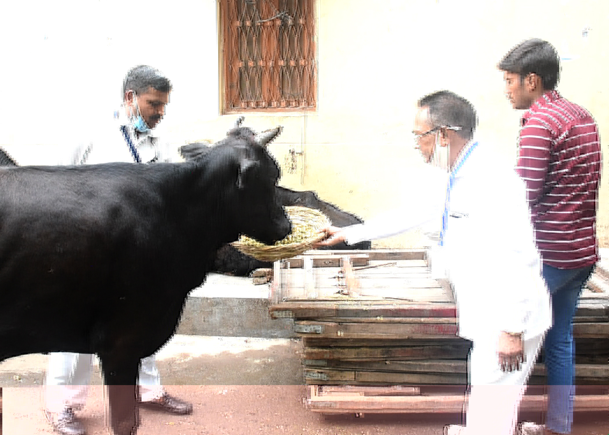Gau Seva Abhiyan